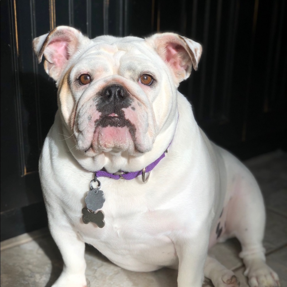 Meet your Posher, Kristen